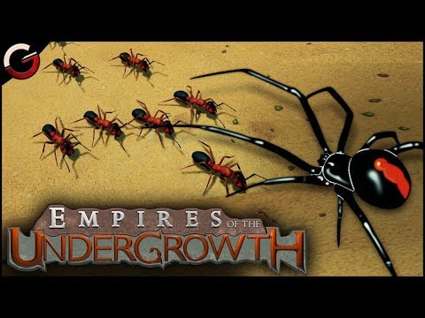 empires of the undergrowth black ant vs worker ant empires of the undergrowth black ant vs worker ant