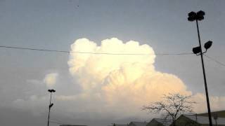 lita ford "little black spider"