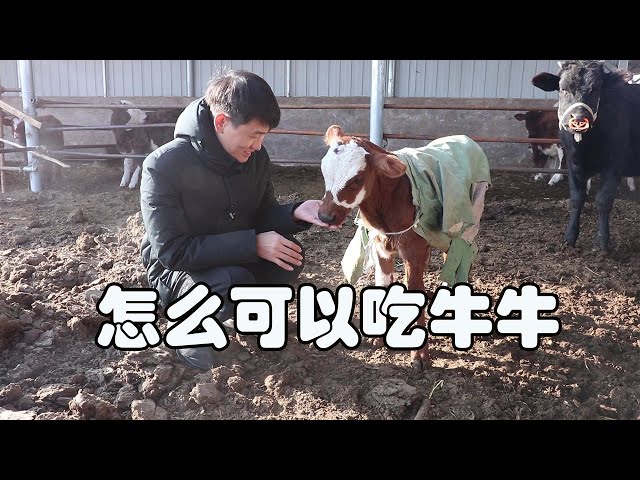 Wymowa wideo od Qinchuan na Angielski