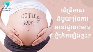 តើត្រីមាសនីមួយៗនៃការមានផ្ទៃពោះមានអ្វីកើតឡើងខ្លះ? | ចំនេះដឹងសុខភាព​​​ | Health Education