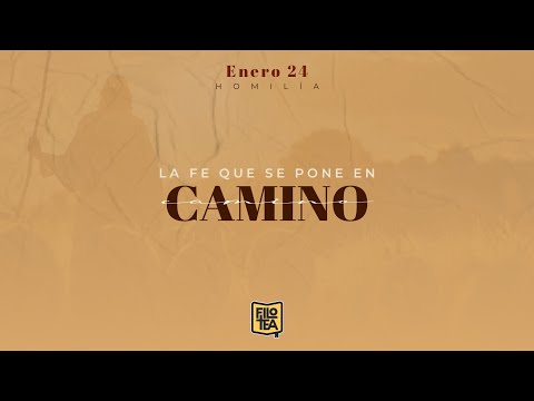 Homilía diaria - 24 de enero