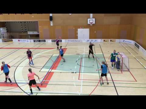 B-tytöt & N2 Yhteisharkat