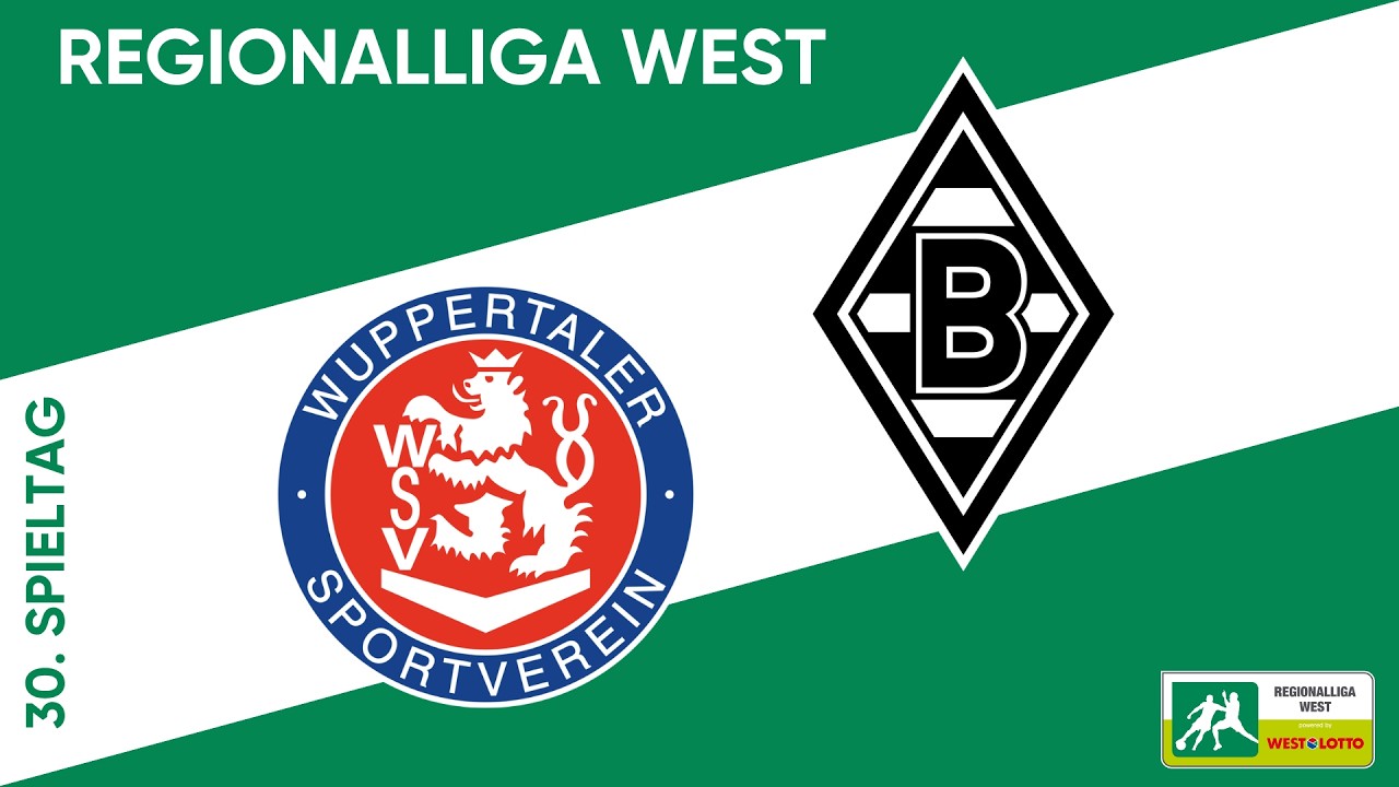 Wuppertaler SV vs Borussia Mönchengladbach II U23 Highlights