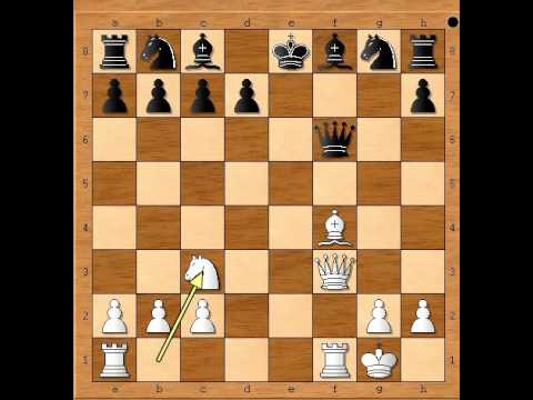 Kraljev gambit beskrajno uzbudljiv - SHIROV vs LAPINSKI # 682