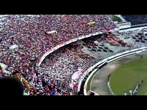 êo êo tricolor tricolor êo êo tricolor