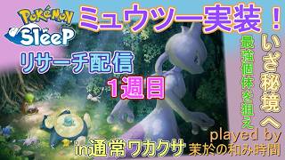 ミュウツー実装！【#ポケスリ】まずはお通し個体を狙って【#ポケモンスリープ】キャンチケ使用！通常ワカクサ本島+８５％Plus+所持。無課金な中堅勢？Pokémon Sleepのんびり実況♪