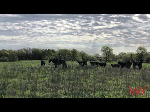 Horseman at Home with Tell Edgmon