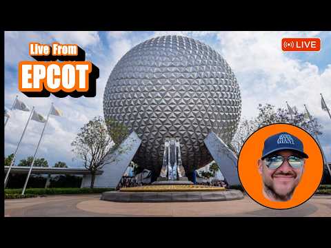 Live webcam of Theme Park Giant