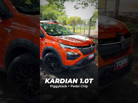 Renault Kardian 1.0 Turbo com Piggyback: +25cv! | Parte 1