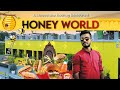Honey World RoofTop Restaurant Kharagpur How Sweet Is Dining On The Rooftop Multi Cuisine