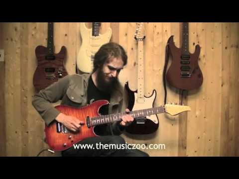 Guthrie Govan Steal - DIY Slow Motion Lick Lesson 1