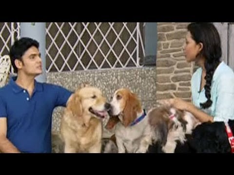comment soulager puppp