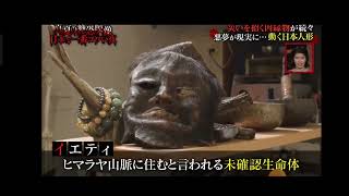 日本の怖い夜2023問題シーン。6秒辺りでイエティの目が動いている。