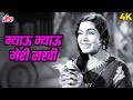Meow Meow Meri Sakhi मियाऊं मियाऊं मेरी सखी 4K Song Lata Mange