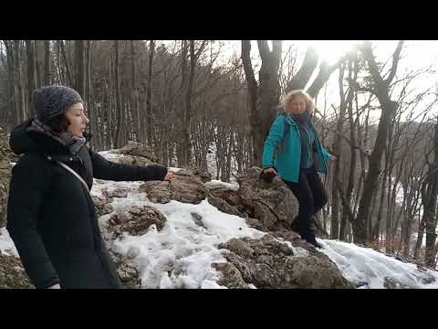 HOLBAV  -  Ianuarie 2021 - drumul spre Măgura Codlei