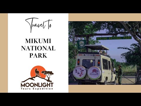 Mikumi National Park