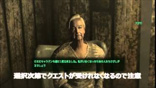 【fallout3】トロフィーコンプリートガイド【実況】　その17