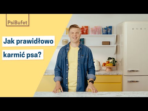 Jak prawidłowo karmić psa?