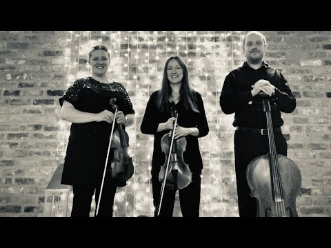 The Yorkshire Violinist String Trio - Concerning Hobbits - The Lord of the Rings