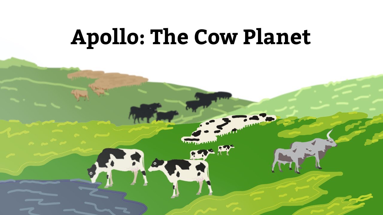 Apollo: A World Of Cows (1/2)