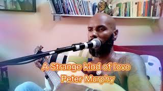 A Strange kind of love - Peter Murphy by Daniel Wergan
