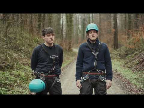 Rücken zukehren oder Seite an Seite - Die Kollegen-Kirsche auf dem Sahnehäubchen