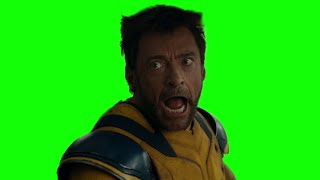 Wolverine: "you lied!" Deadpool: "no, I made an educated wish!" green screen