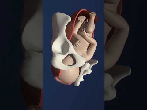 Non fare mai questo con un neonato