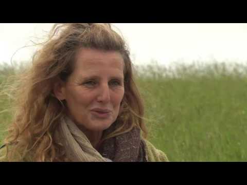 Die nordstory   Inselgeschichten von Borkum