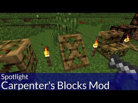 Spotlight: Minecraft Carpenter's Blocks Mod