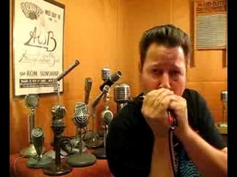 Shure Controlled Magnetic Element for Harp Mic