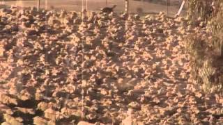 FRANK ZAPPA -- LUMPY GRAVY -- SIDE ONE