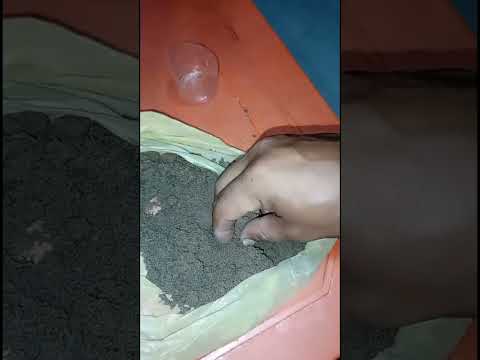 Caso 2. Estudio de sueños Finca el Paraíso Chimichagua César