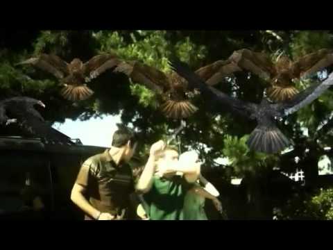 Birdemic - The best scene with the famous hangers.WTF
