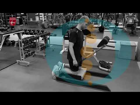 Nordic hams curl