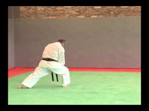 12.  Niseishi profile