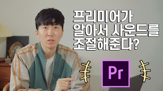 귀찮아서 프리미어프로한테 사운드 조절을 맡겼습니다 - 더킹 오디오자동