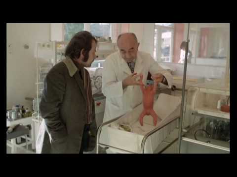 La Tenacia della Vita.