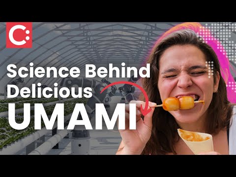 How to Make Food Taste Better: Umami