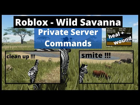 Roblox - Wild Savanna - Private Server Commands - How to guide