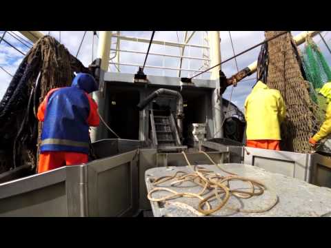 Kees Kuyt als prenter op de KW 5 "leendert de mol"