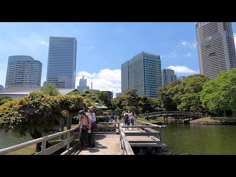 Hama-rikyu Gardens Walking Tour [4K] (April, 2024)
