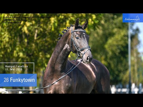 Schlamminger-Auktion Lot 26 Funkytown Hengst v. Fürstenball - Sandro Hit