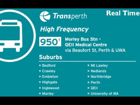 Transperth High Frequency 950T