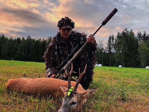 Bockjakt 2019 | Antonsjakt