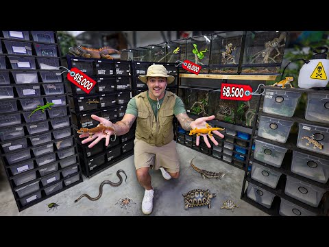 Buying $30,000 REPTILE COLLECTION!! (crazy)