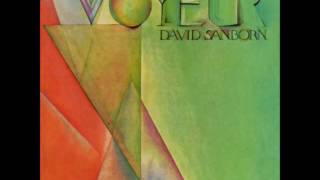 David Sanborn - Run For Cover