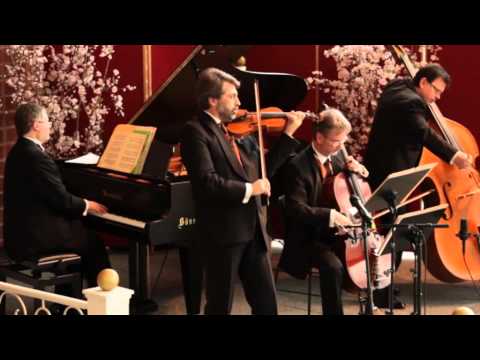 Salonissimo - Johann Strauss - Potpourri aus Der Zigeunerbaron