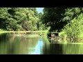 The MURA River The Cradle Of Life Documentary HD 2011