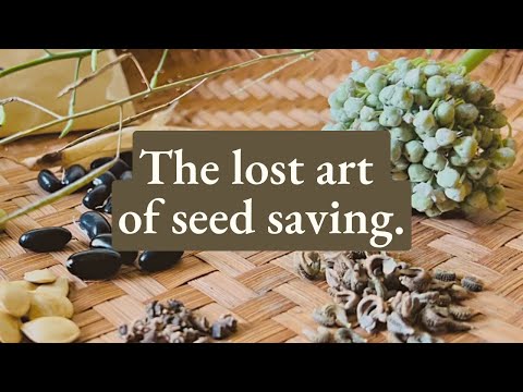 Seed Saving & Its Importance